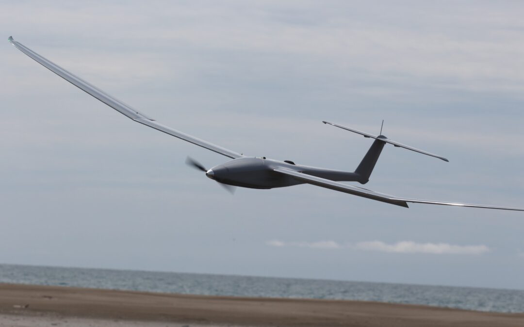 Colibri and Larinae: who will manufacture the French ‘suicide drones’?