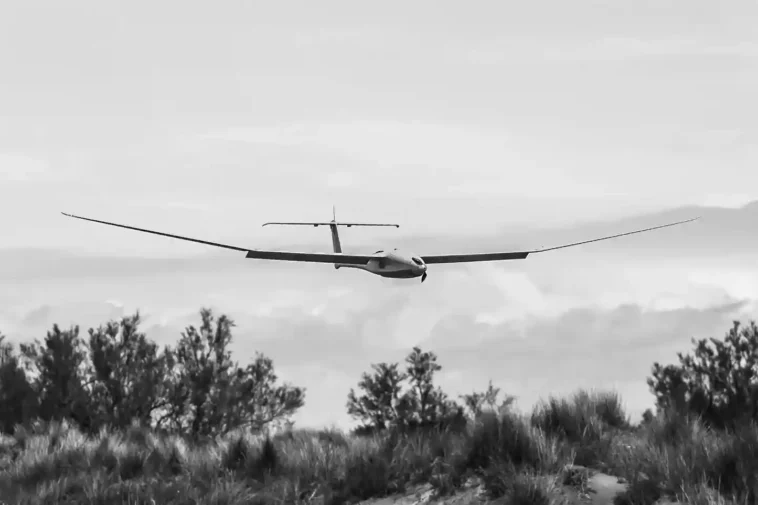 France launches the “Larinae” tank hunting UAV project